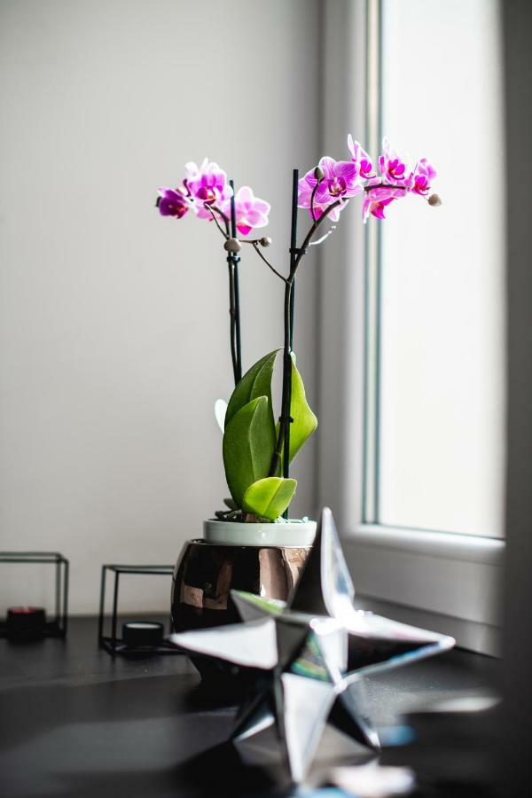 Hanna'S Suite With Free Parking Ljubljana Ngoại thất bức ảnh